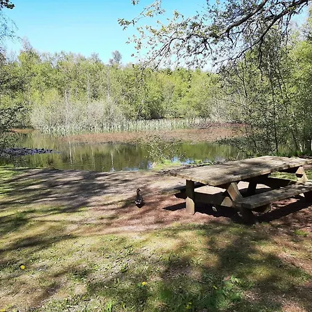 6 Person In Albaek-by Traum * Ольбек